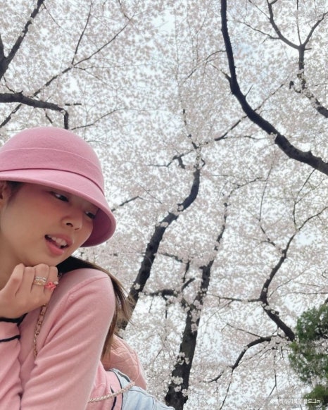 핑크벨리 이미지