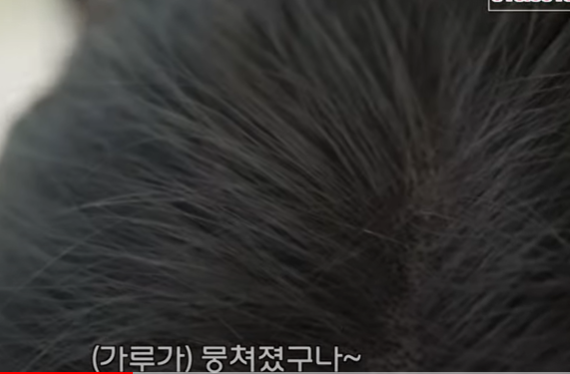 헤어팡팡 이미지
