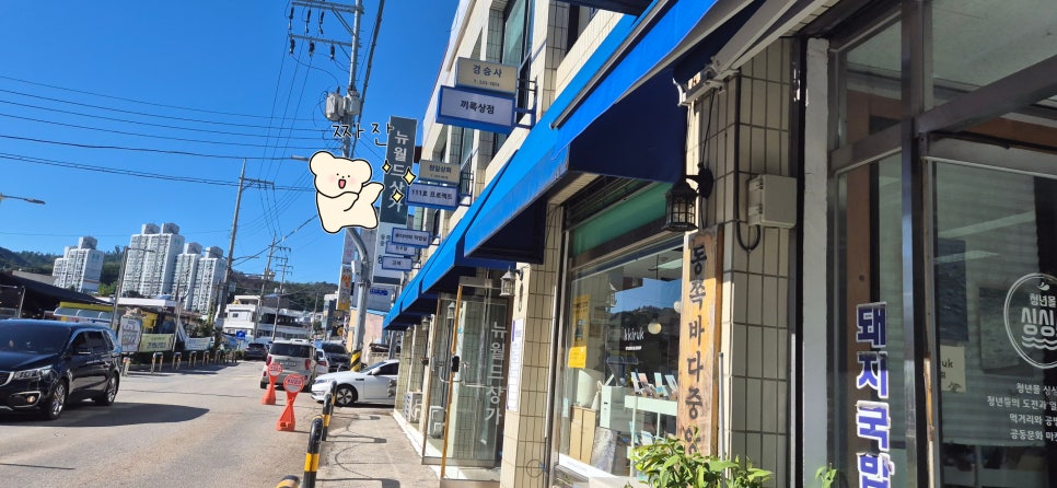 111호프로젝트 이미지