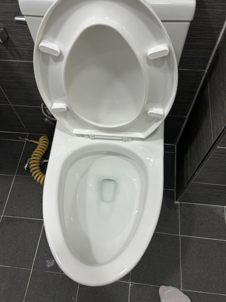 현장 사진