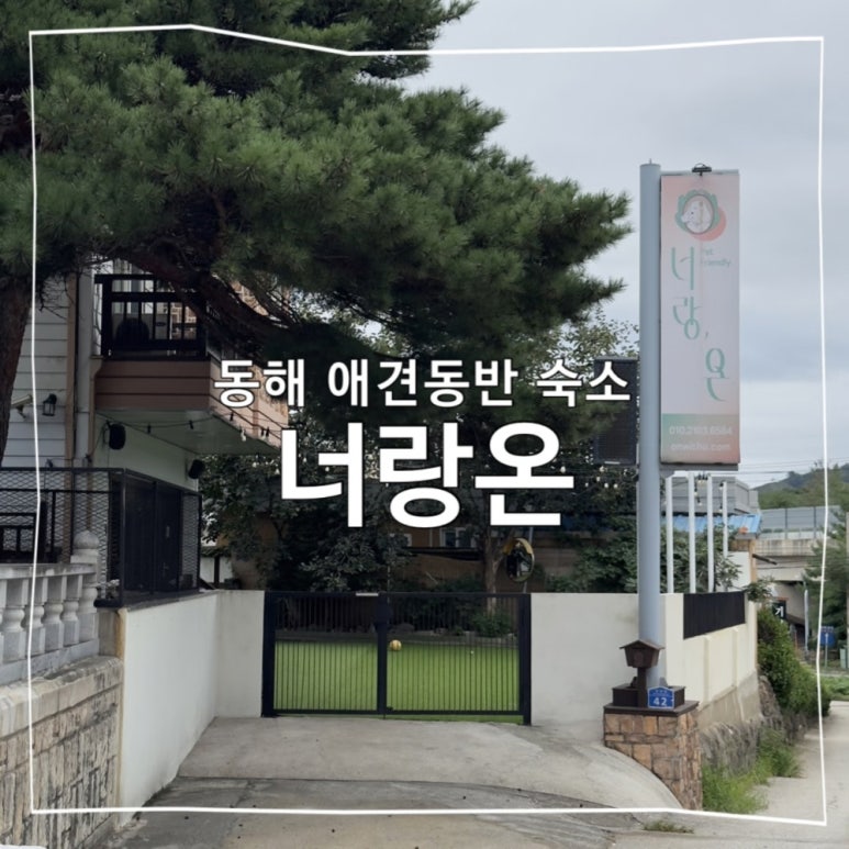 너랑온 이미지