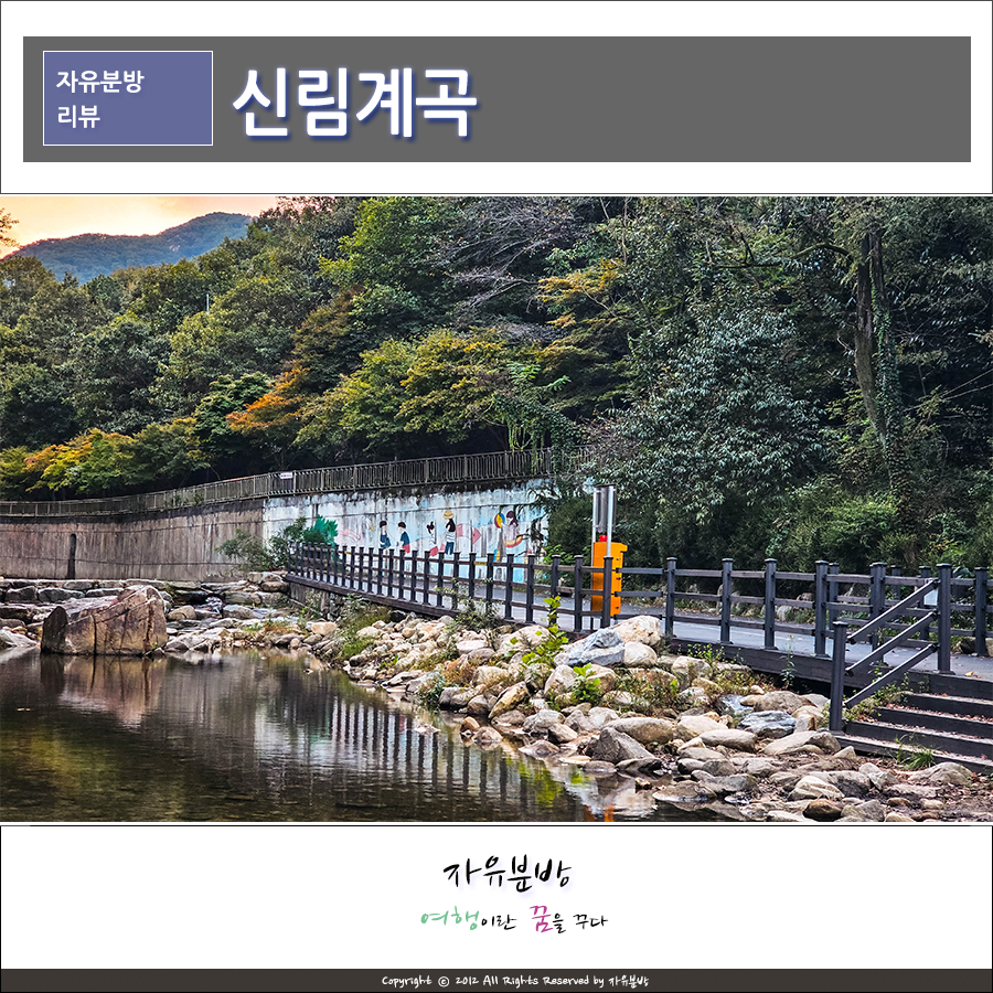 관악산 계곡 캠핑장 이미지
