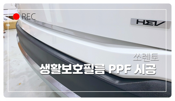 블링카 이미지