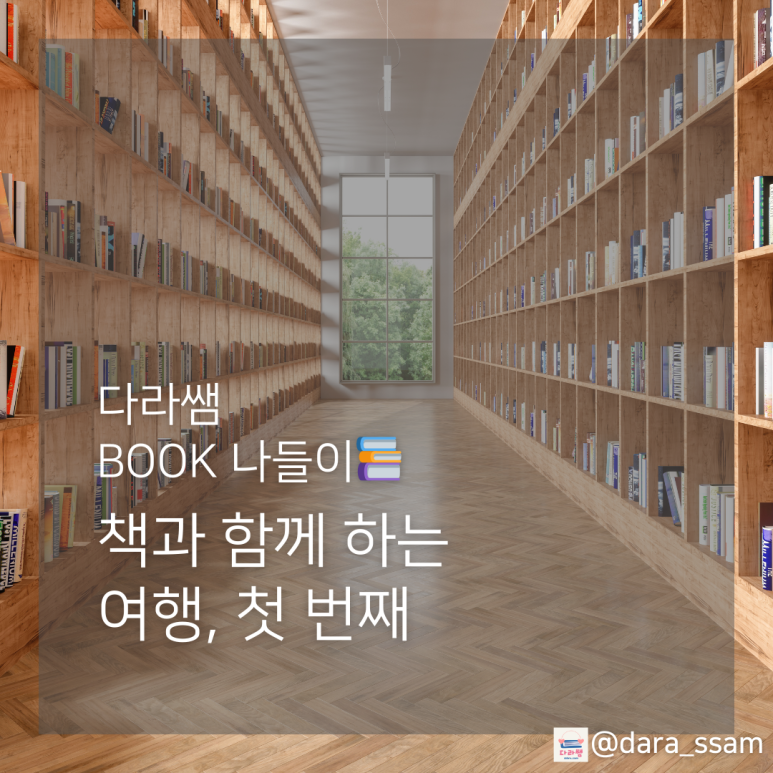 스테이333 이미지