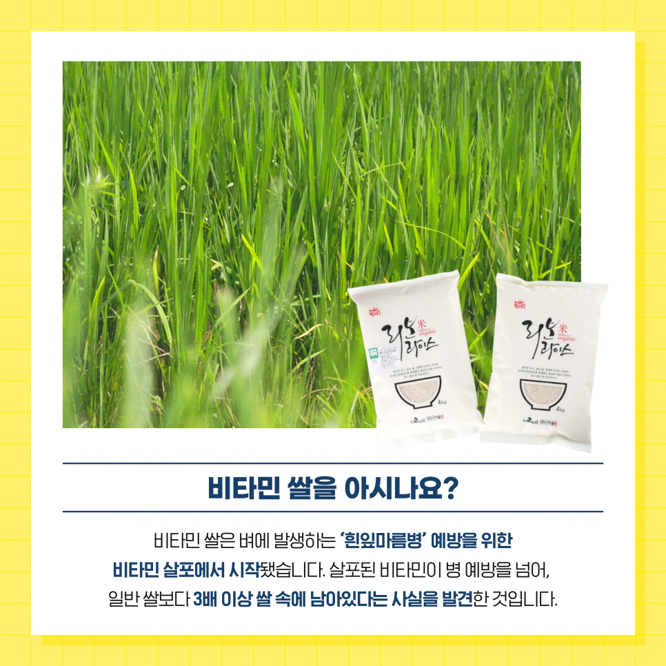 나비골영농조합법인 이미지