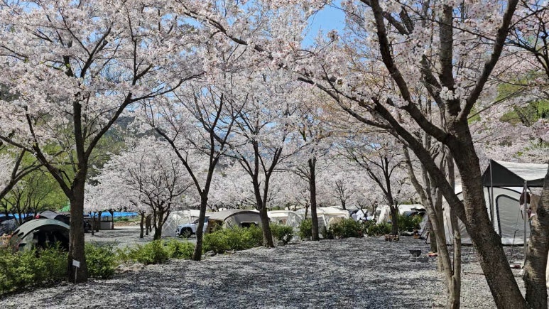 산솔 캠핑장 이미지