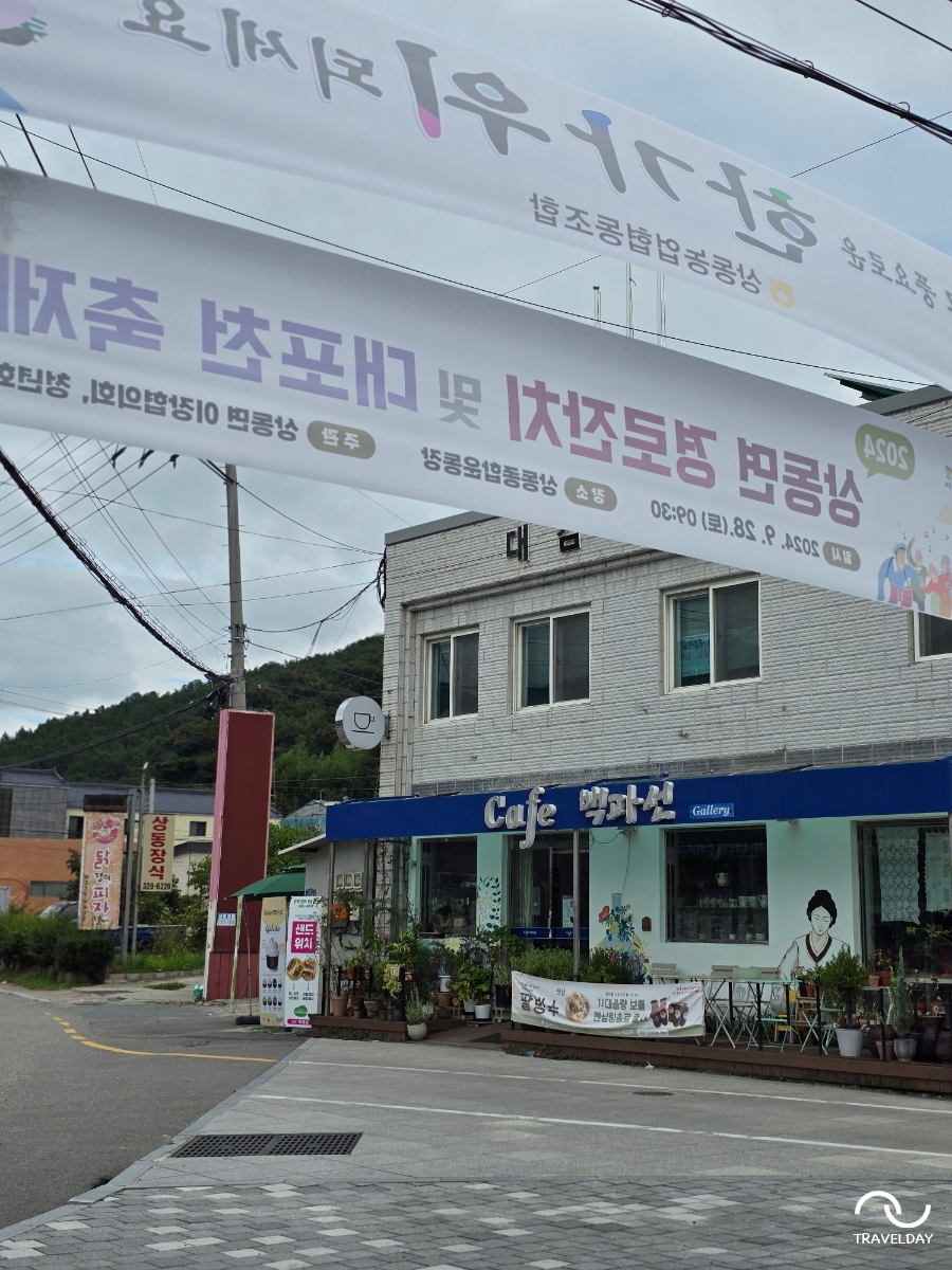 까페백파선 이미지