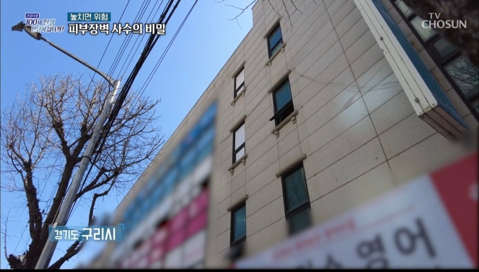 안은영댄스플러스 이미지