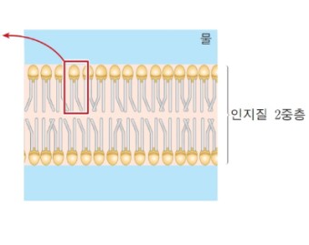 인스타짐 이미지