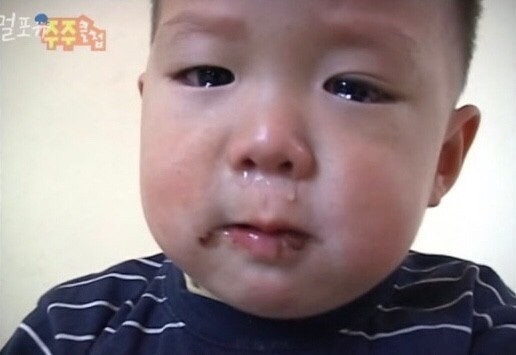 잼놀 이미지