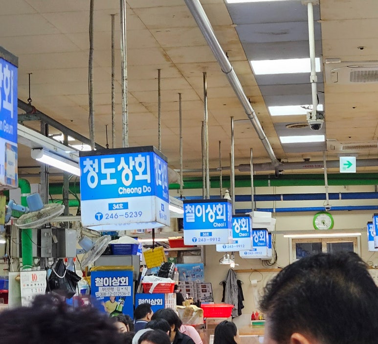 철이상회 이미지