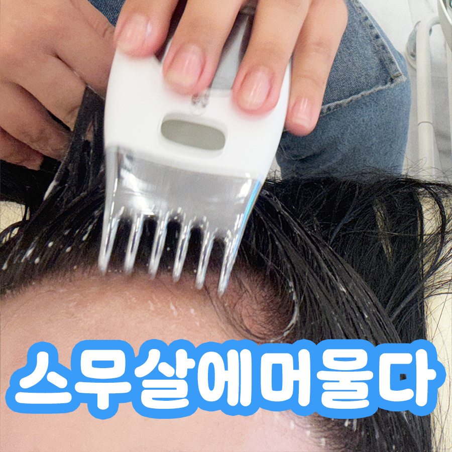 스무살에머물다 이미지