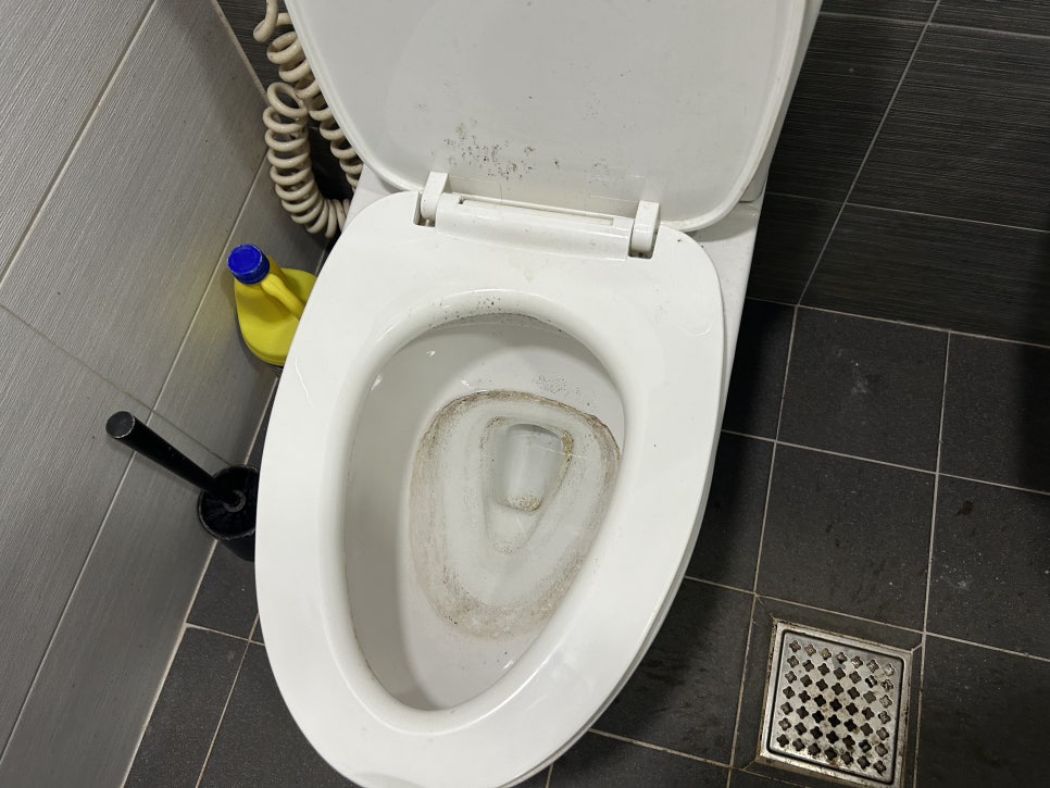 현장 사진