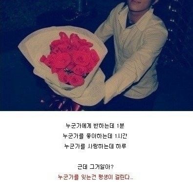 우드세이지 이미지