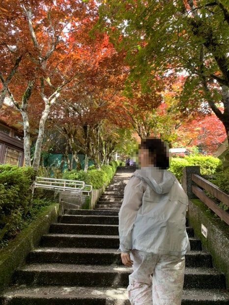 지우투어 이미지