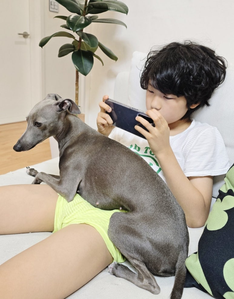 아티그너 이미지