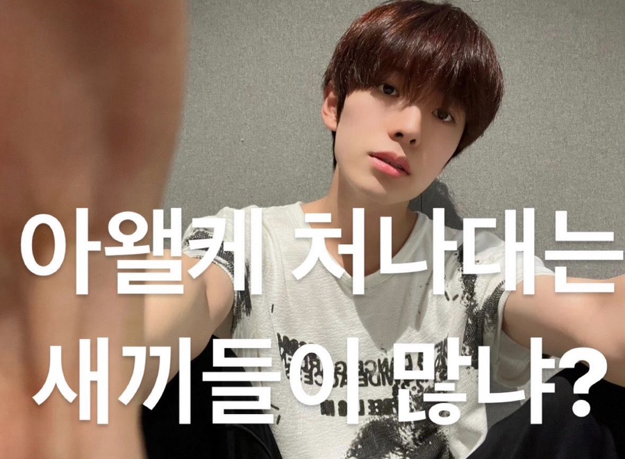 아이쿡 이미지