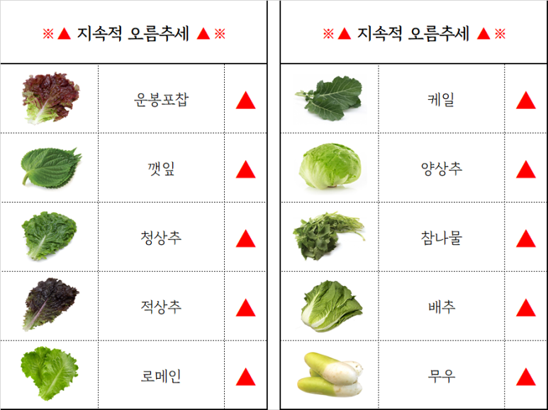 청운유통 이미지