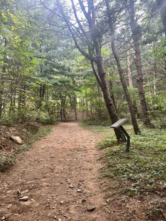 머물다삼포 이미지