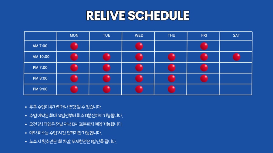 릴라이브PT 이미지