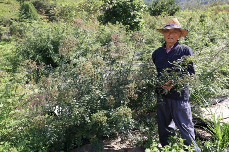 하동산초농장 이미지