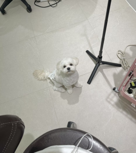 위드스테이부산 이미지