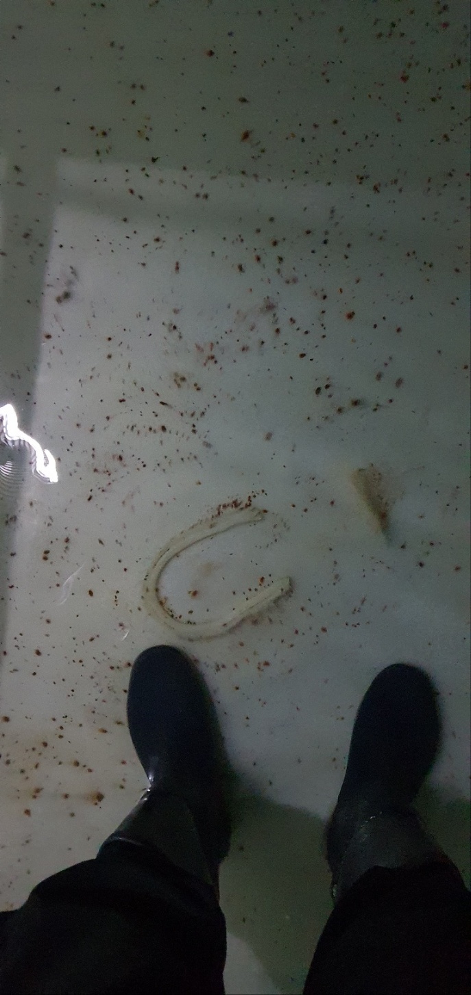 길종합개발 이미지
