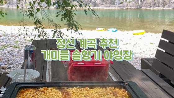 개미들솔향기야영장 이미지