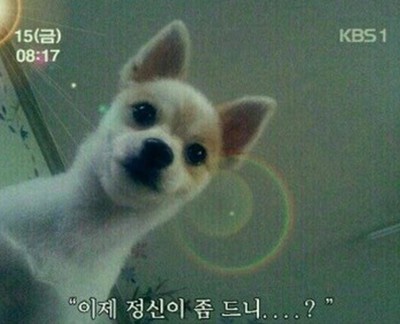 헤롱 이미지