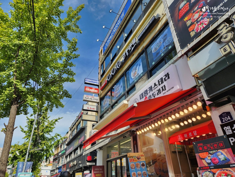 코너브루 이미지