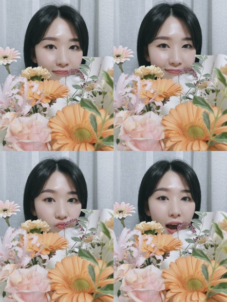 파티또예 이미지