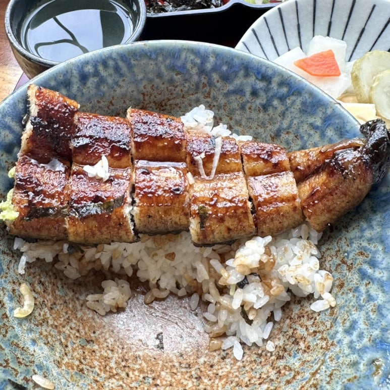 바자라 이미지