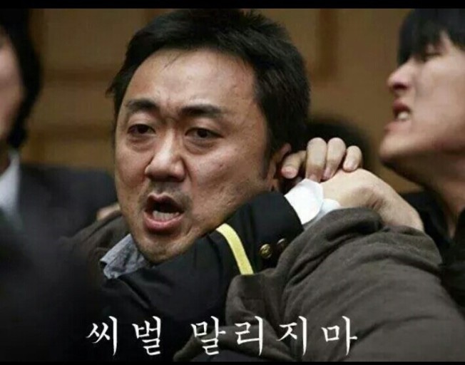 도리집 이미지