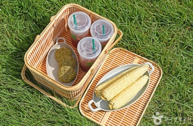 오대산힐링빌리지 이미지