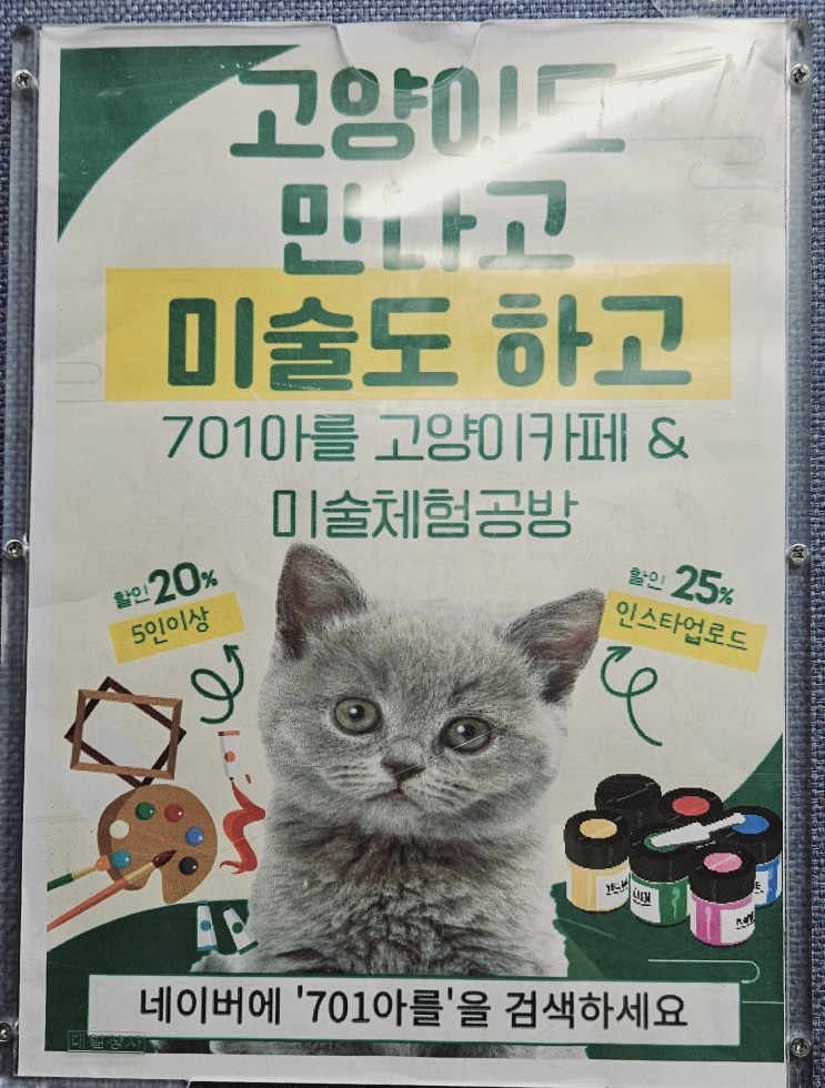 701아를고양이카페(cat in the art) 이미지