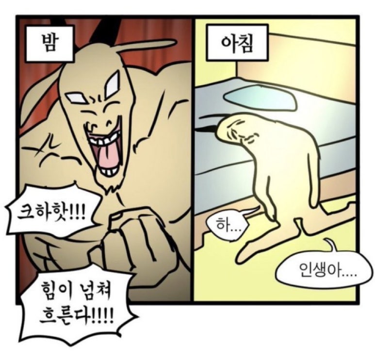 두레블 이미지