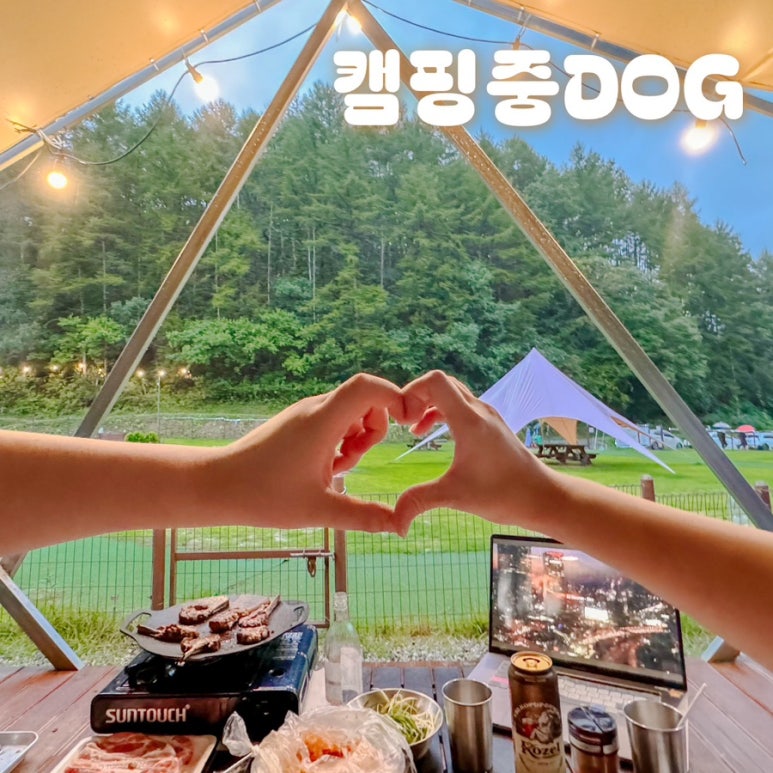 캠핑중DOG 이미지