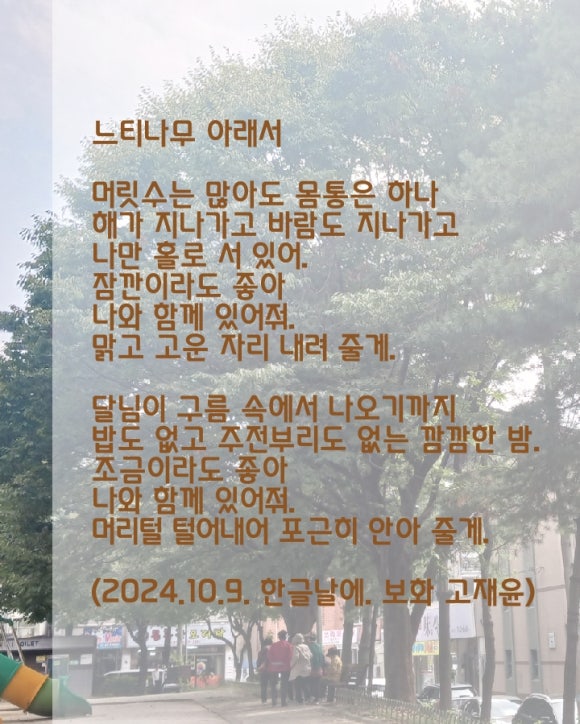 새싹존크린센터 이미지