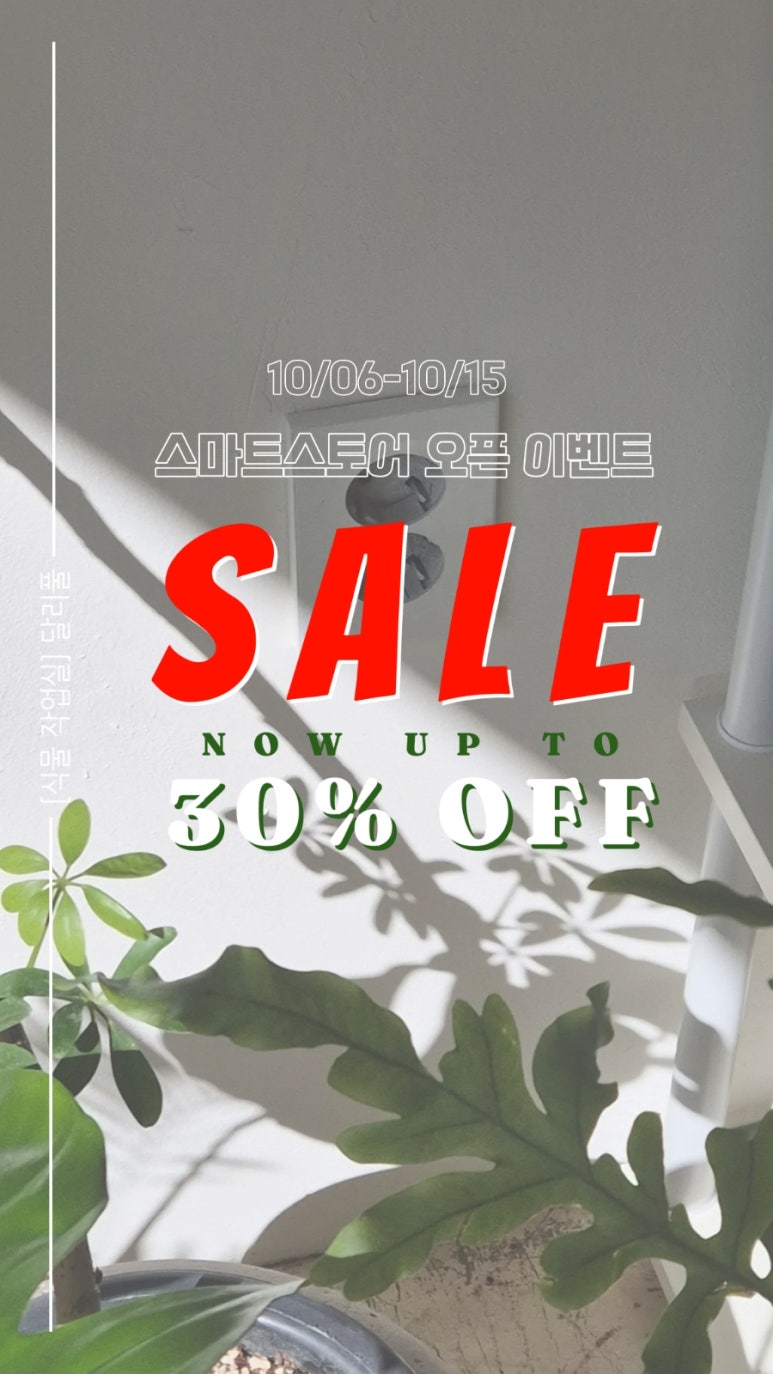 달리풀 이미지
