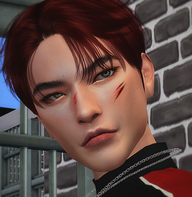 하우이 이미지