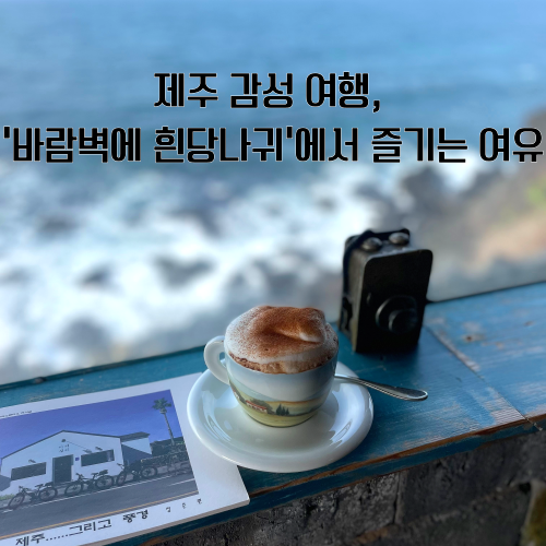 소리여행사 이미지