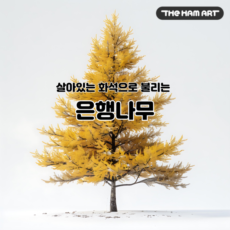 나무미술교습소 이미지