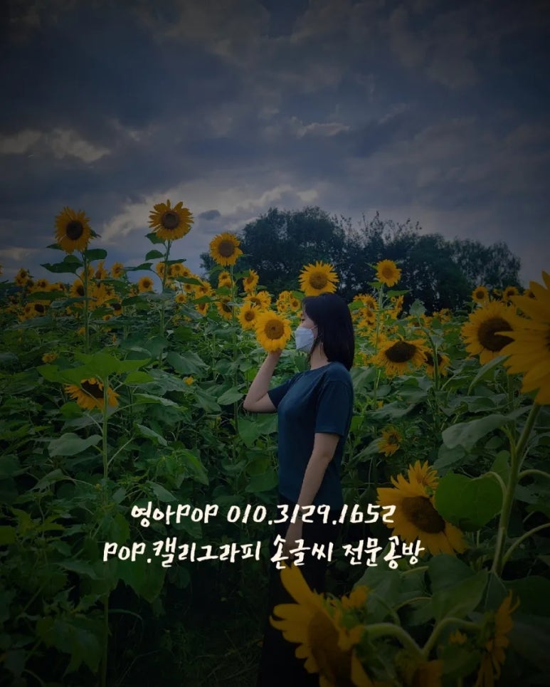 영아POP 이미지