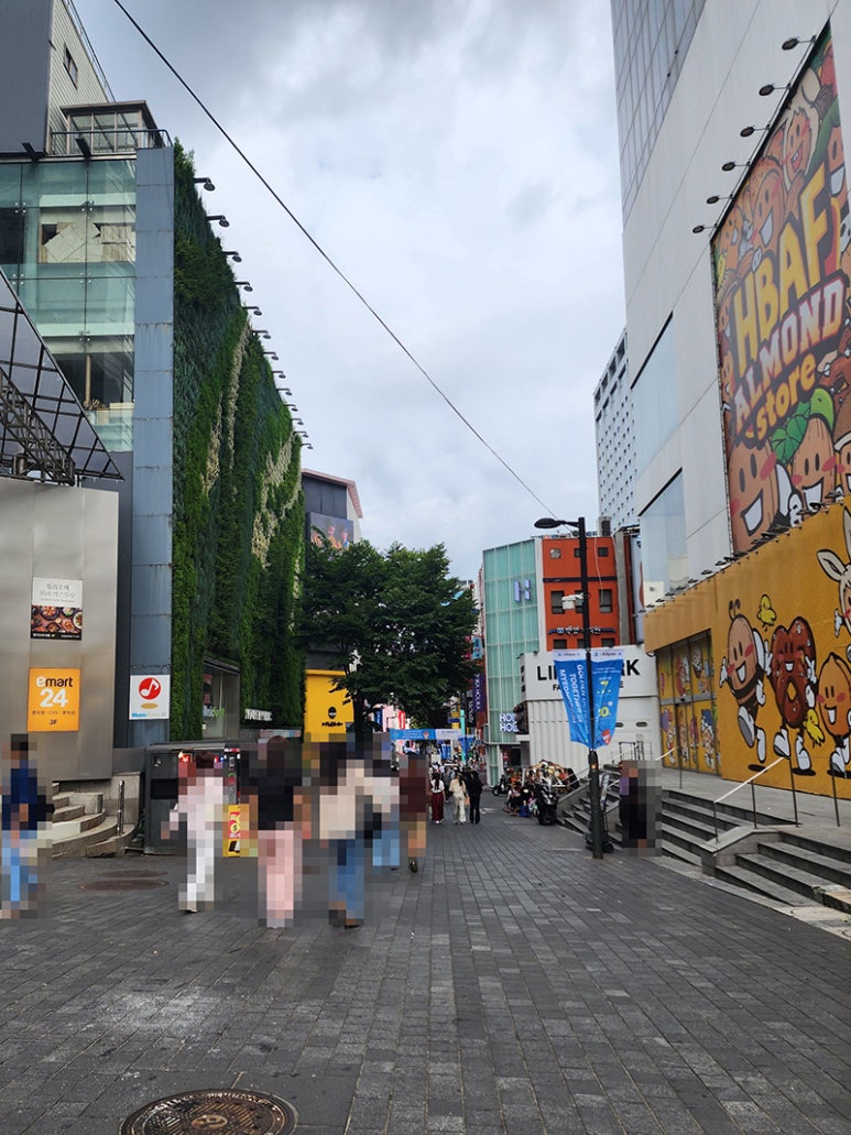 밀리오레빌딩 앞 이미지