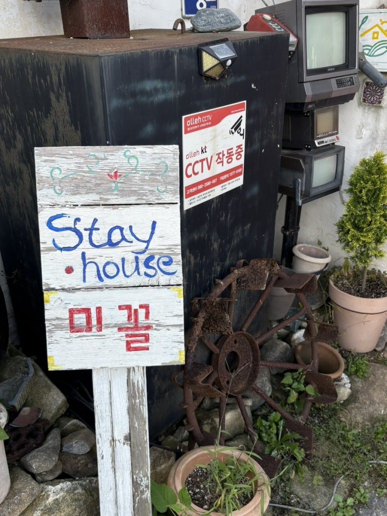 돼지노래연습장 이미지