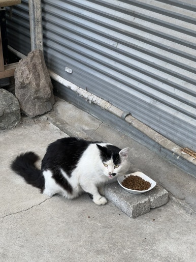 갈비가맛있다별관 이미지