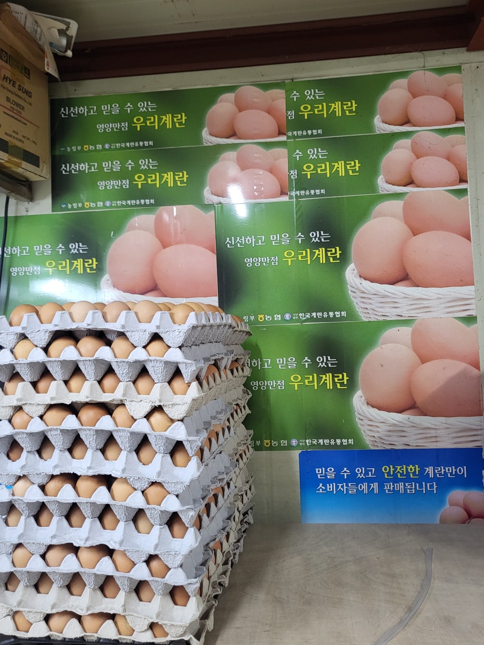 다모아유통 이미지