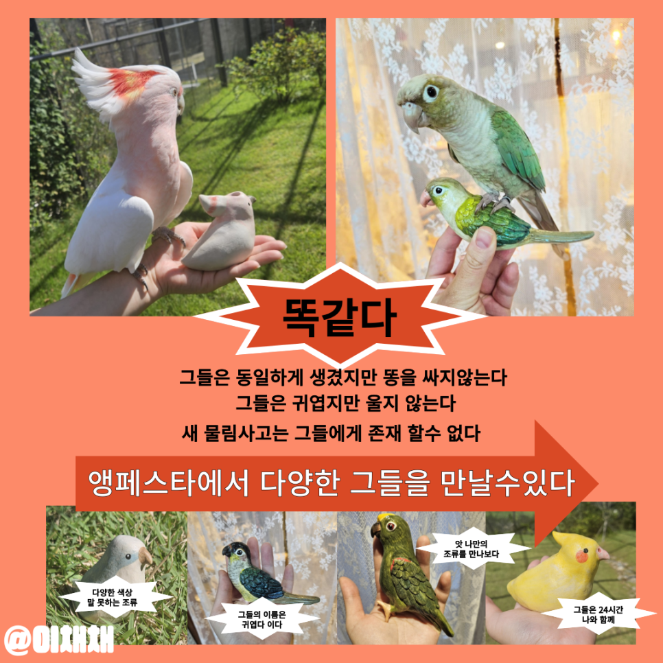 앵페스타 이미지
