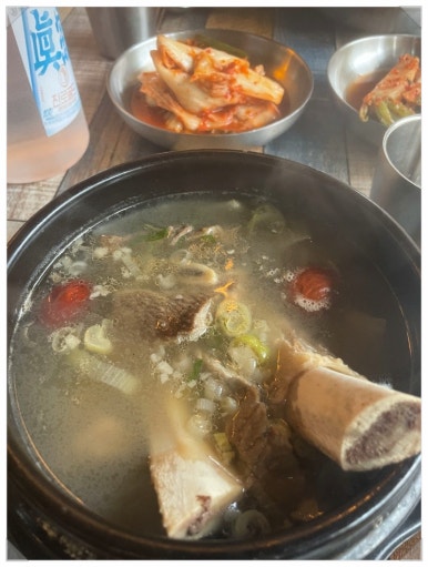 꽃돼지모임 이미지