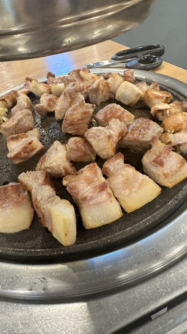 이디오랜 이미지